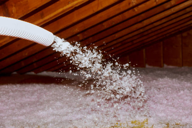 Best Insulation for Specific Applications in Cologne, MN