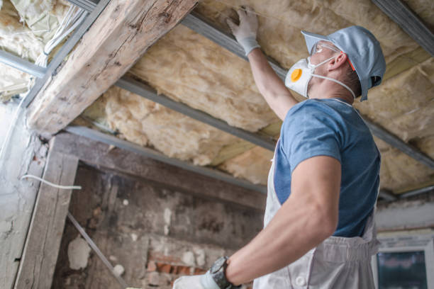 Best Types of Insulation in Cologne, MN