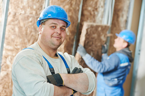Best Residential Insulation in Cologne, MN