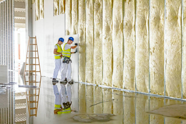 Best Insulation for Specific Applications in Cologne, MN